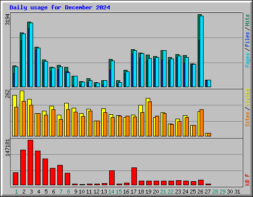 Daily usage for December 2024