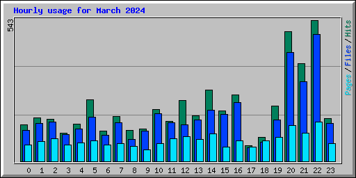 Hourly usage for March 2024