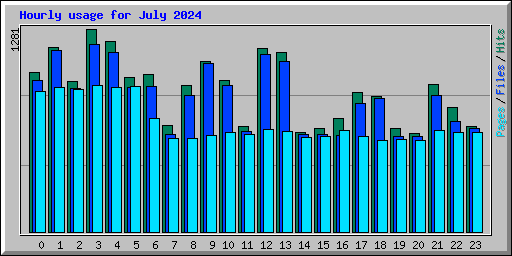 Hourly usage for July 2024