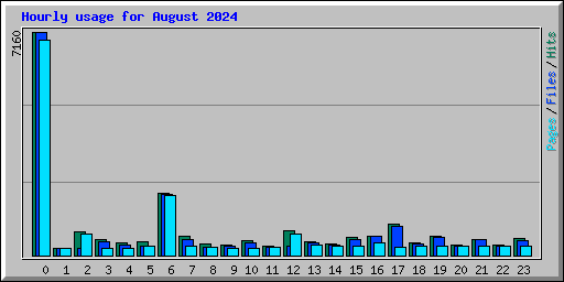 Hourly usage for August 2024