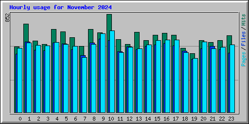 Hourly usage for November 2024