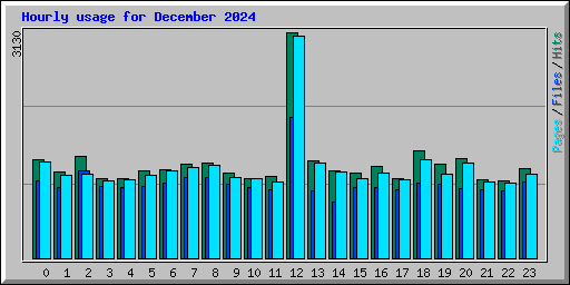 Hourly usage for December 2024