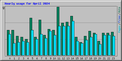 Hourly usage for April 2024