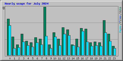 Hourly usage for July 2024